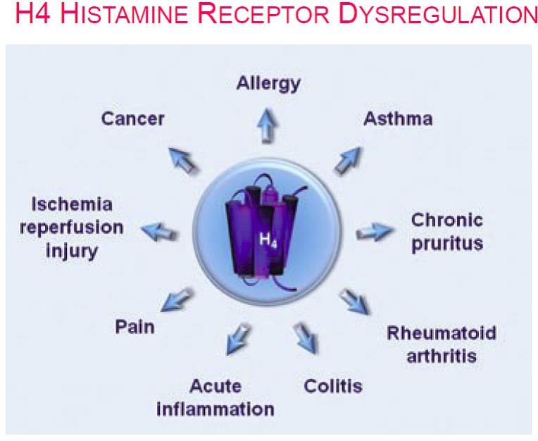 histamine