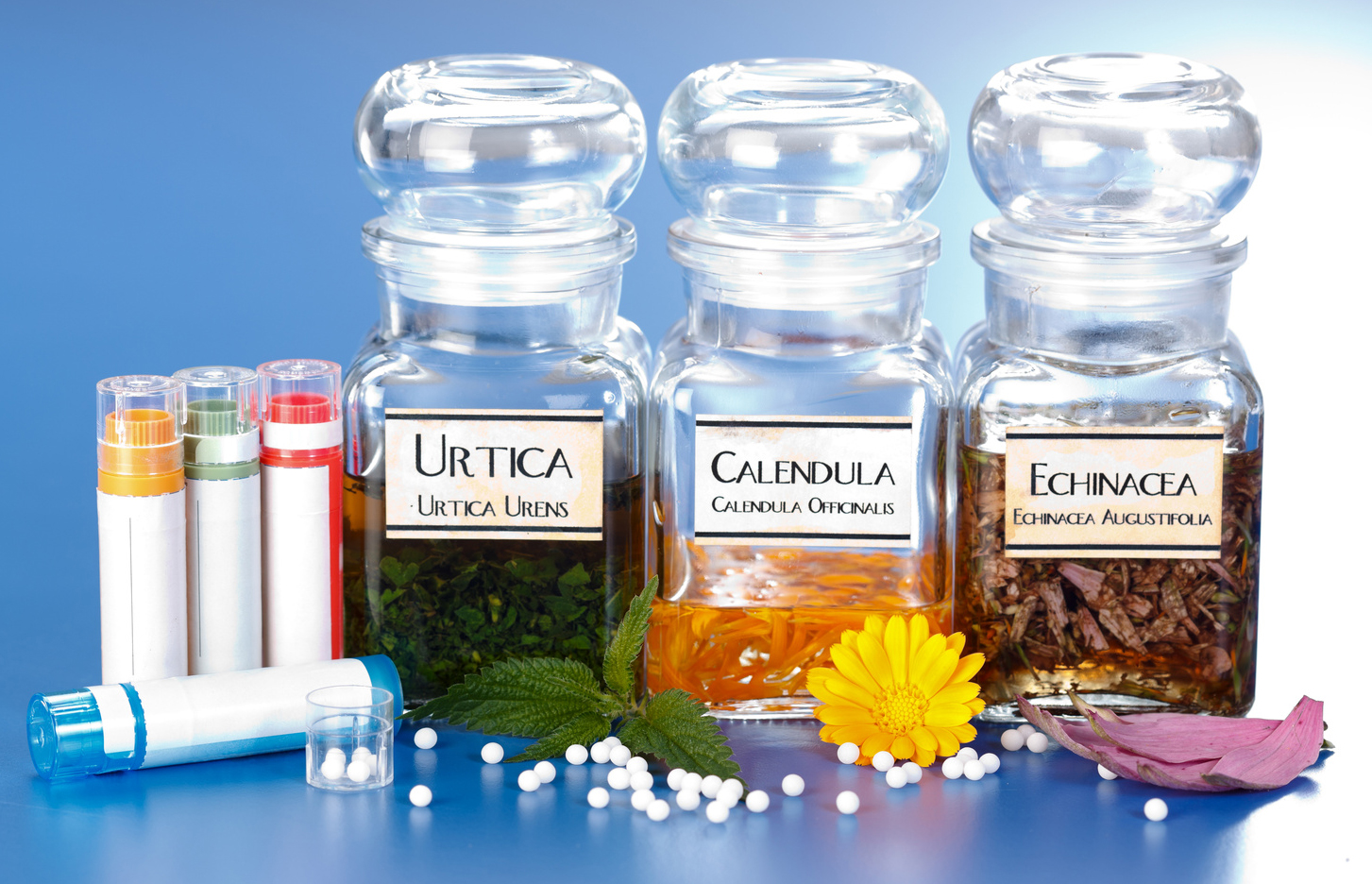 varwwwhtmlwp-contentuploads201408y-un-blog-para-la-homeopatia-ii-01.jpg
